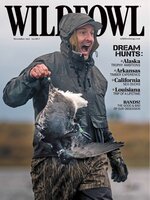 Wildfowl